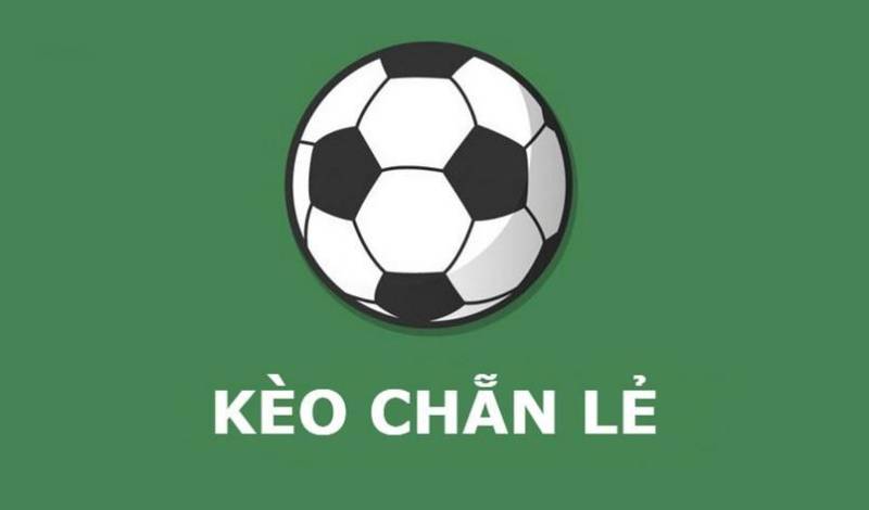 Kèo nhà cái Fund - Tỷ lệ kèo nhà cái 5 hôm nay keonhacai bóng đá trực tiếp 136 Keo Chan Le La Gi Cach Choi Va Meo Danh Bai Nha Cai