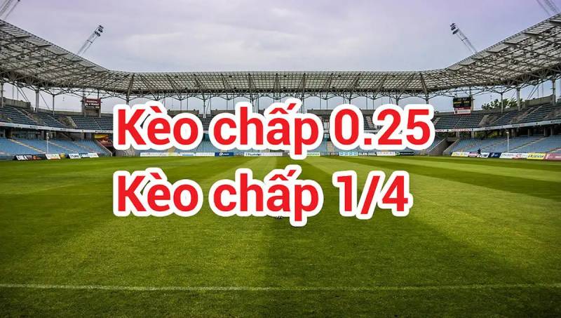 Kèo nhà cái Fund - Tỷ lệ kèo nhà cái 5 hôm nay keonhacai bóng đá trực tiếp 128 Kèo Chấp 1/4 Ăn Như Thế Nào? Có Nên Vào Tiền Kèo Này Không?